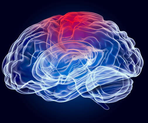 Kognitivne sposobnosti