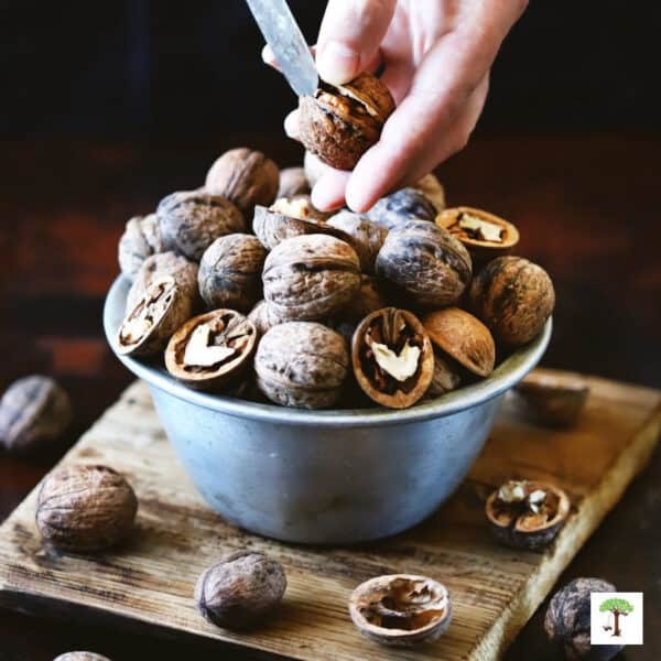 Zimske aktivnosti za starejše in osebe z demenco